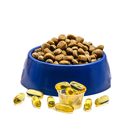 Kategorija DODACI ISHRANI image