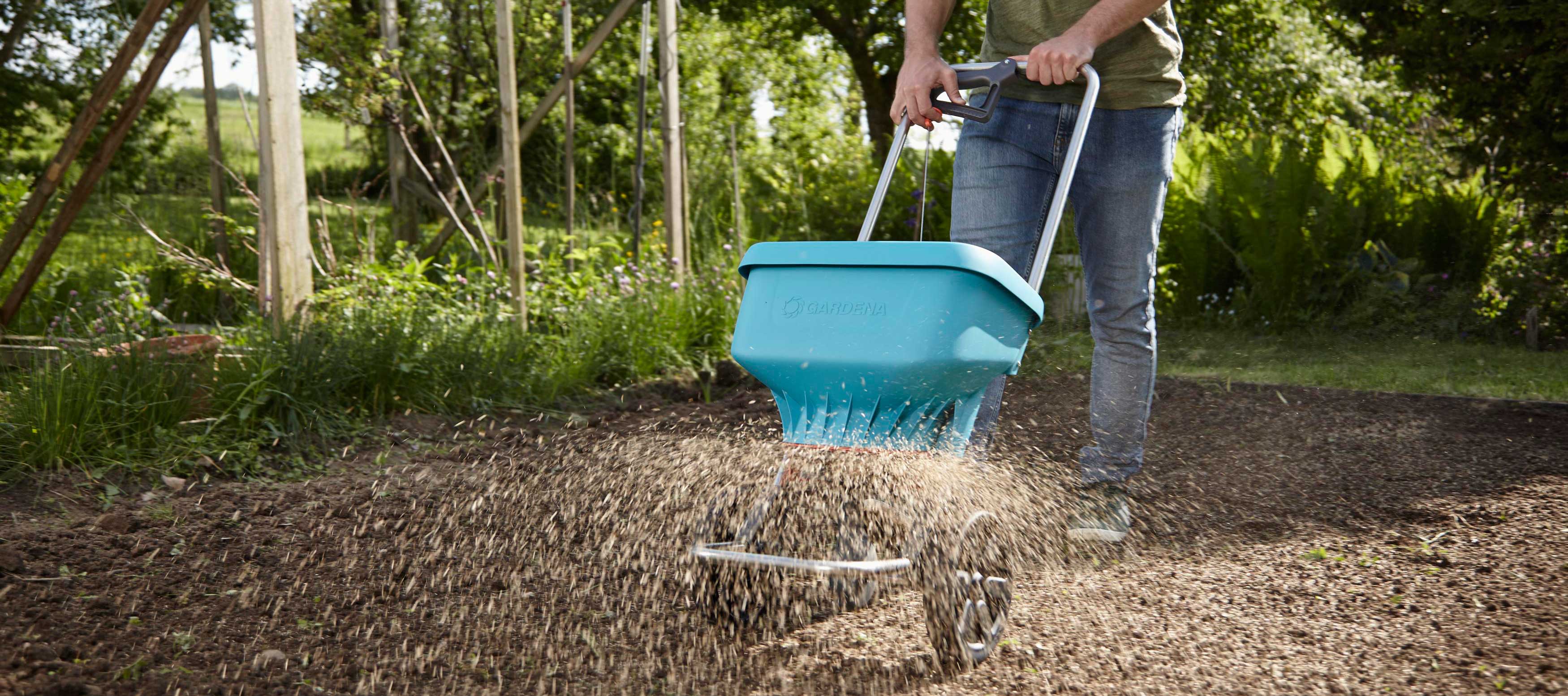 Setva trave u jesen - idealno vreme za zasnivanje novog travnjaka