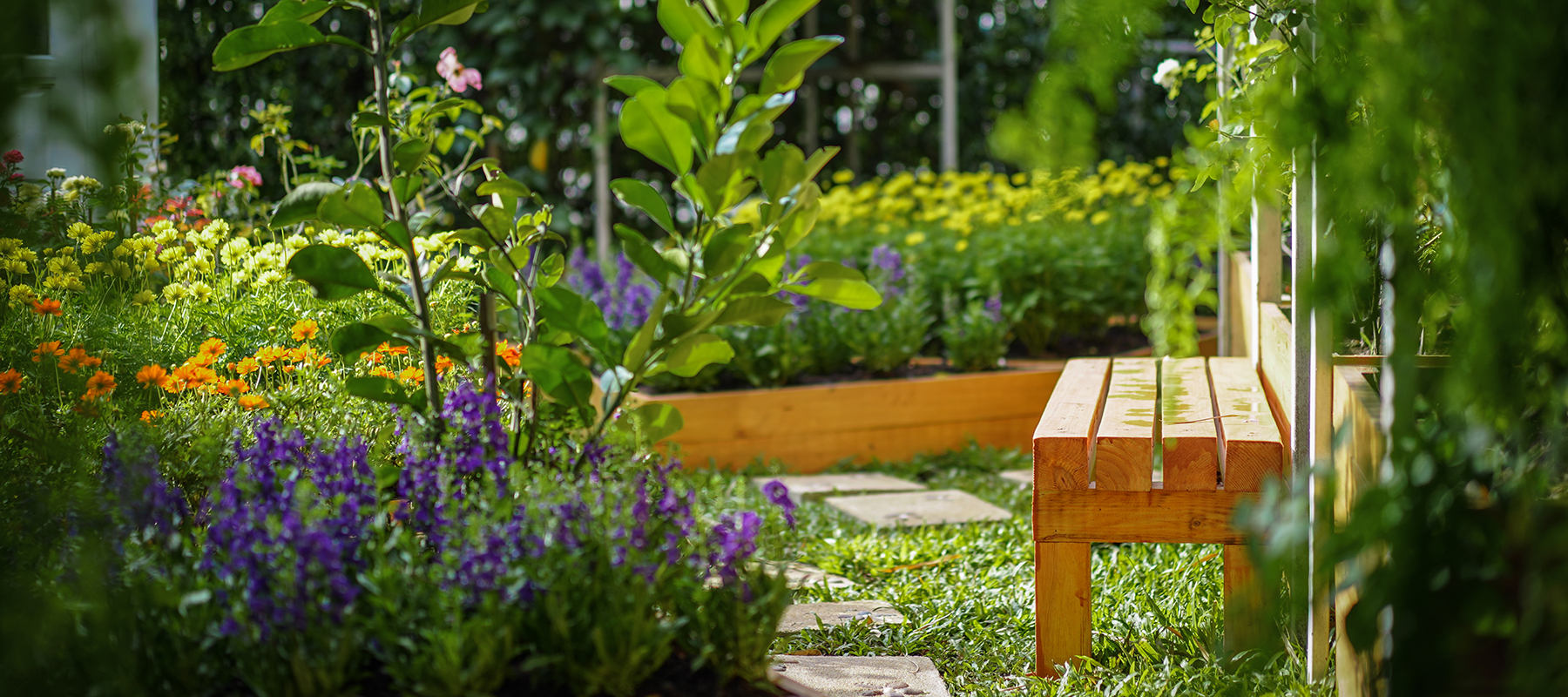 Sezonska privlačnost biljaka u vrtu