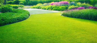 Do savršenog travnjaka u par koraka